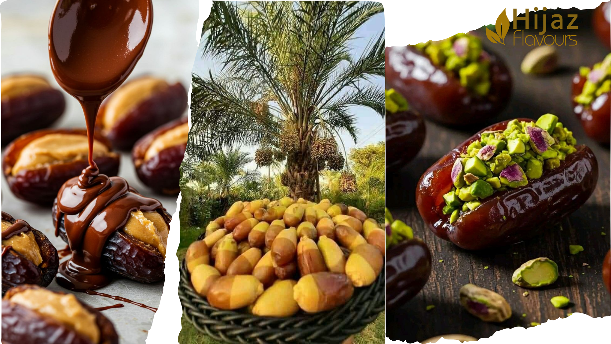 Nutrition Facts of Saudi Dates: A Natural Superfood from the Heart of Arabia