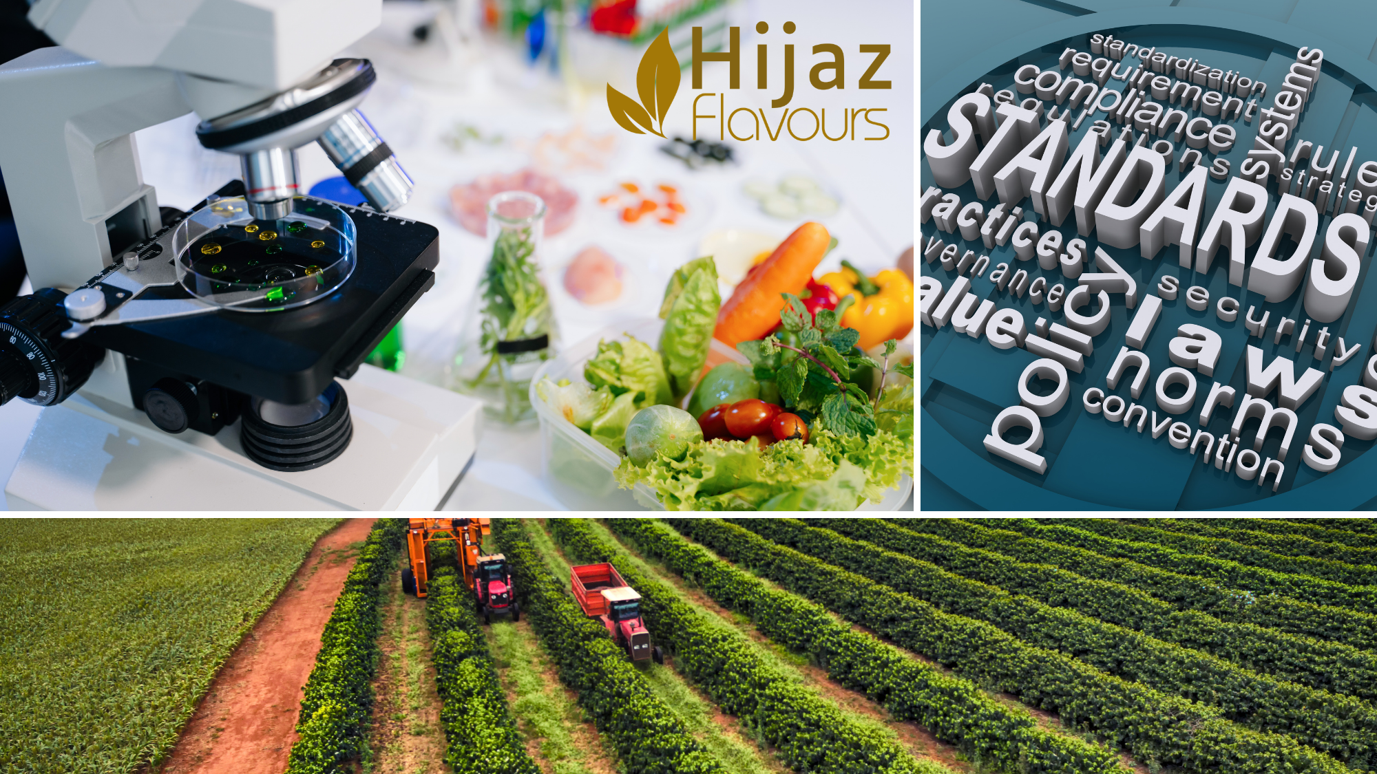 Here Are Three Reasons Global Buyers Should Pay More Attention to Saudi-Made Food Products